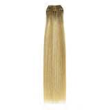 Clip in Hair Extensions R#8-12/60 - lacerhair